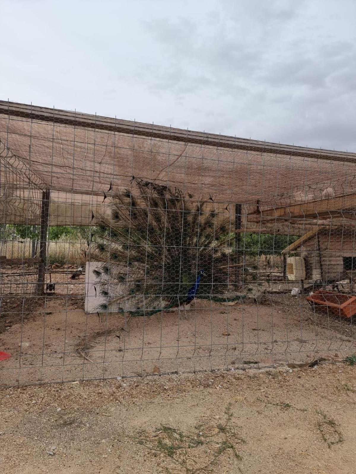 De La Huerta * Navahermosa (Toledo)